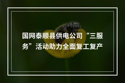 国网泰顺县供电公司“三服务”活动助力全面复工复产