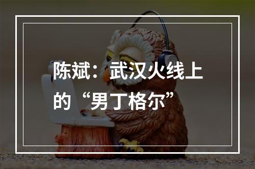 陈斌：武汉火线上的“男丁格尔”