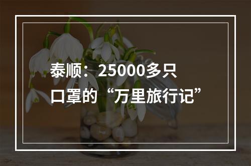 泰顺：25000多只口罩的“万里旅行记”