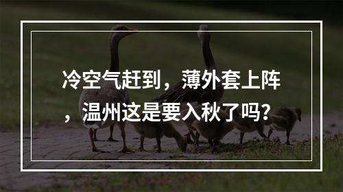 冷空气赶到，薄外套上阵，温州这是要入秋了吗？