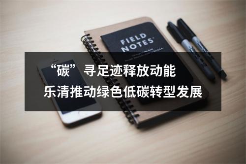 “碳”寻足迹释放动能  乐清推动绿色低碳转型发展