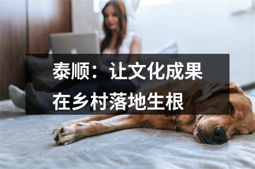 泰顺：让文化成果在乡村落地生根