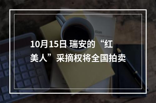 10月15日 瑞安的“红美人”采摘权将全国拍卖