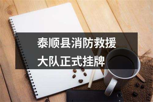 泰顺县消防救援大队正式挂牌