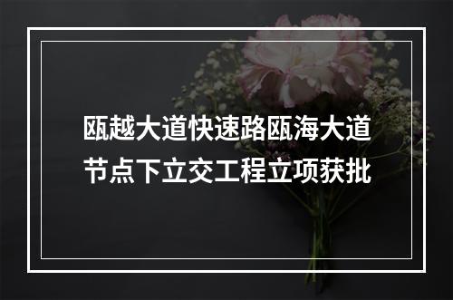 瓯越大道快速路瓯海大道节点下立交工程立项获批