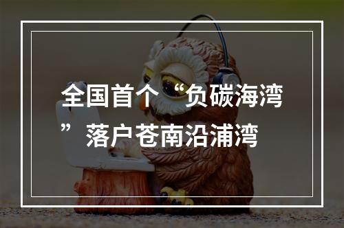 全国首个“负碳海湾”落户苍南沿浦湾