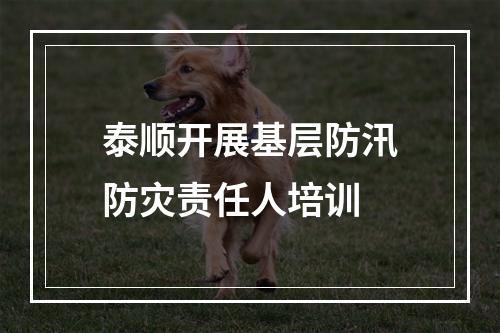 泰顺开展基层防汛防灾责任人培训