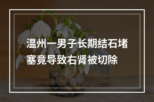 温州一男子长期结石堵塞竟导致右肾被切除