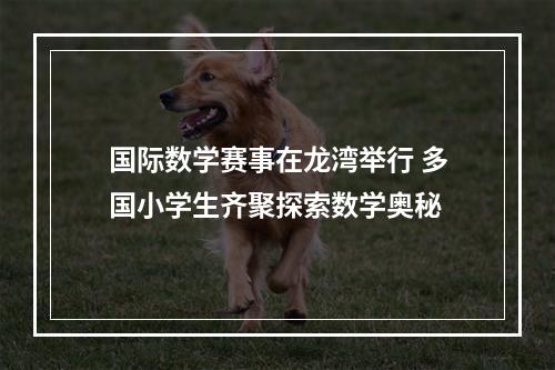 国际数学赛事在龙湾举行 多国小学生齐聚探索数学奥秘