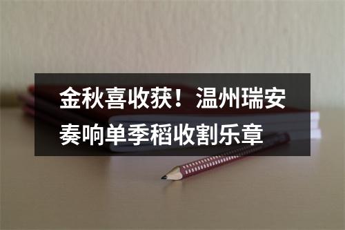金秋喜收获！温州瑞安奏响单季稻收割乐章