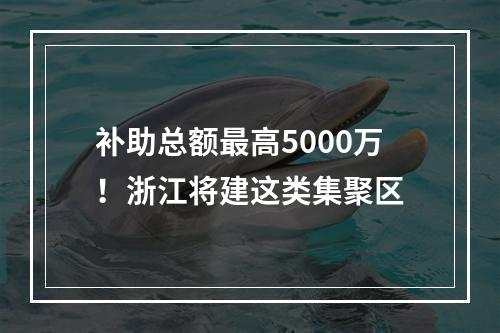 补助总额最高5000万！浙江将建这类集聚区