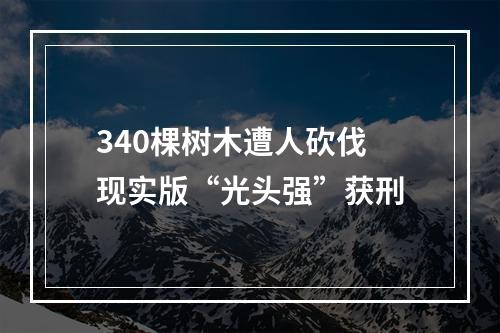 340棵树木遭人砍伐 现实版“光头强”获刑