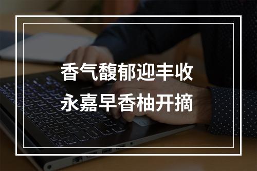 香气馥郁迎丰收 永嘉早香柚开摘