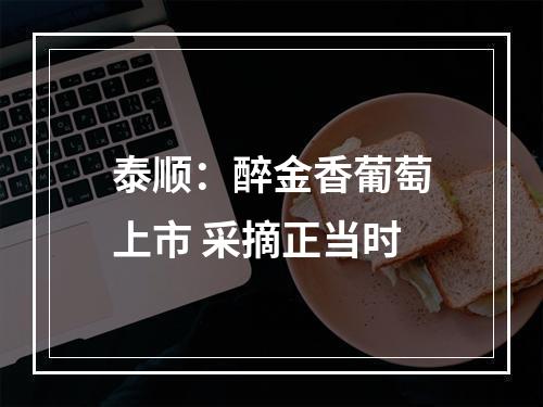 泰顺：醉金香葡萄上市 采摘正当时
