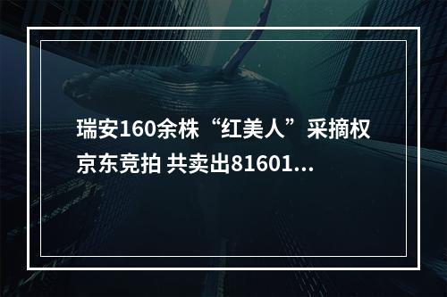 瑞安160余株“红美人”采摘权京东竞拍 共卖出81601元