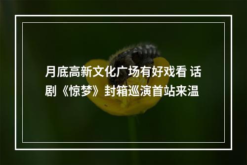月底高新文化广场有好戏看 话剧《惊梦》封箱巡演首站来温