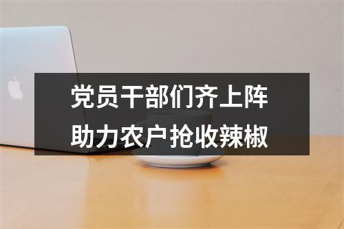 党员干部们齐上阵 助力农户抢收辣椒