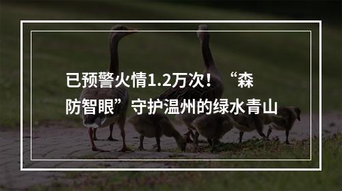 已预警火情1.2万次！“森防智眼”守护温州的绿水青山