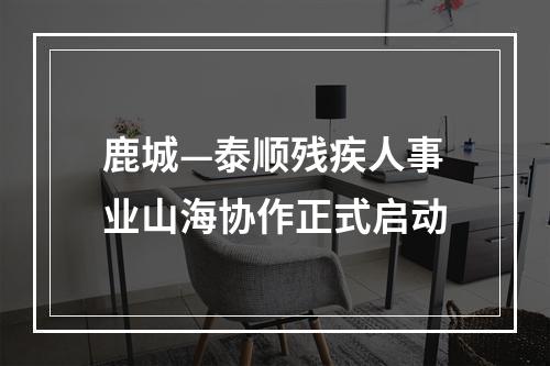 鹿城—泰顺残疾人事业山海协作正式启动