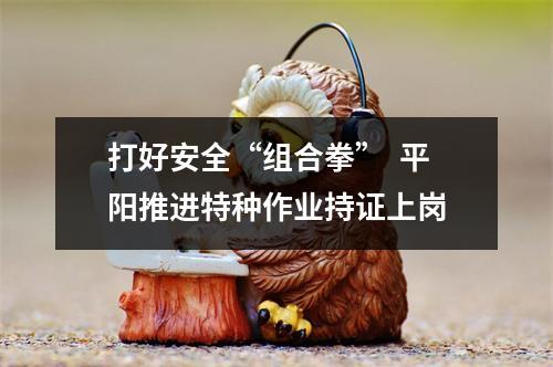 打好安全“组合拳”  平阳推进特种作业持证上岗