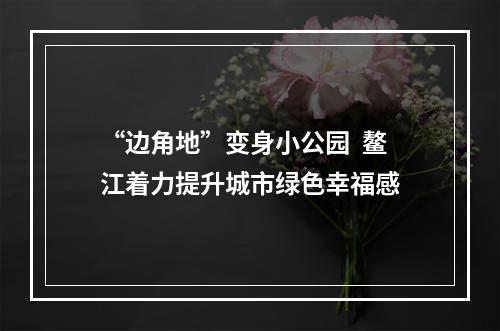 “边角地”变身小公园  鳌江着力提升城市绿色幸福感