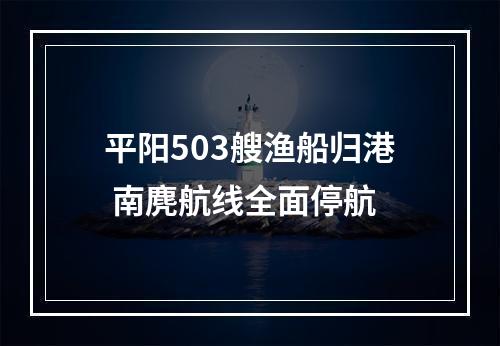 平阳503艘渔船归港 南麂航线全面停航