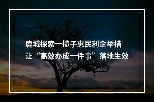 鹿城探索一揽子惠民利企举措 让“高效办成一件事”落地生效