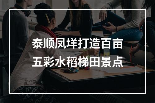 泰顺凤垟打造百亩五彩水稻梯田景点
