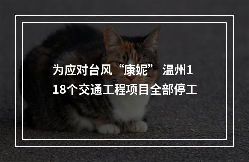 为应对台风“康妮” 温州118个交通工程项目全部停工