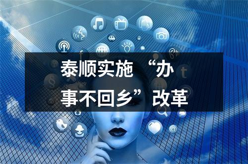 泰顺实施 “办事不回乡”改革