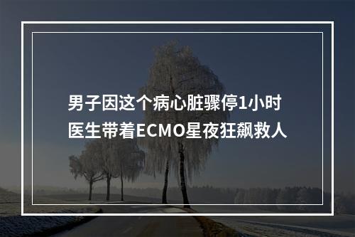 男子因这个病心脏骤停1小时 医生带着ECMO星夜狂飙救人