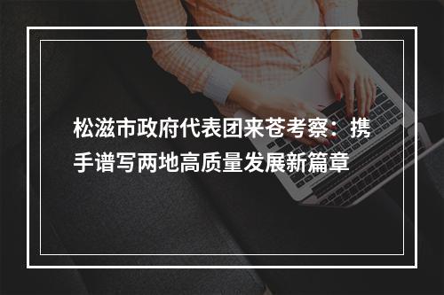 松滋市政府代表团来苍考察：携手谱写两地高质量发展新篇章