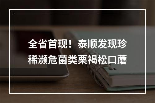 全省首现！泰顺发现珍稀濒危菌类栗褐松口蘑