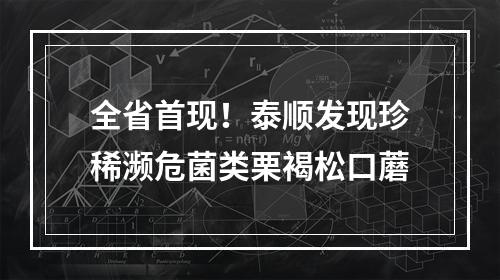 全省首现！泰顺发现珍稀濒危菌类栗褐松口蘑