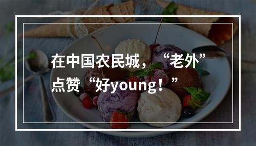在中国农民城，“老外”点赞“好young！”
