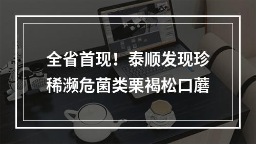 全省首现！泰顺发现珍稀濒危菌类栗褐松口蘑