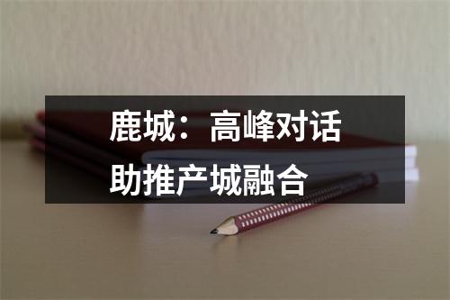 鹿城：高峰对话助推产城融合