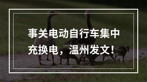事关电动自行车集中充换电，温州发文！