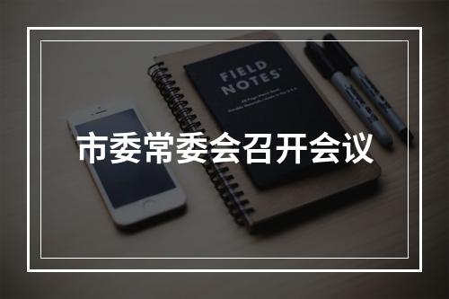 市委常委会召开会议