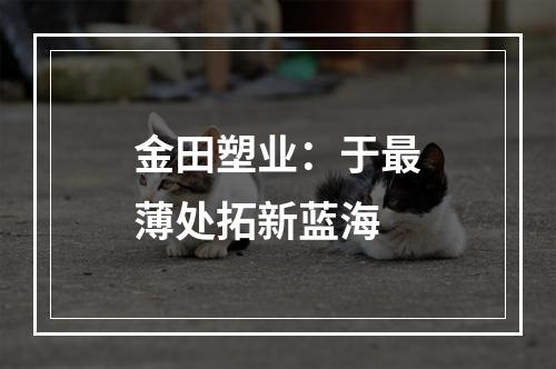 金田塑业：于最薄处拓新蓝海