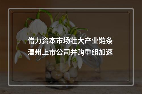 借力资本市场壮大产业链条 温州上市公司并购重组加速