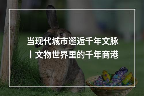 当现代城市邂逅千年文脉丨文物世界里的千年商港