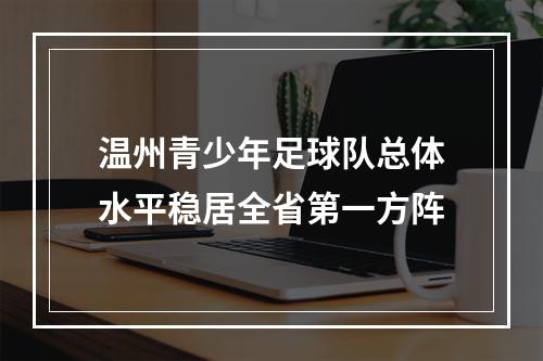 温州青少年足球队总体水平稳居全省第一方阵