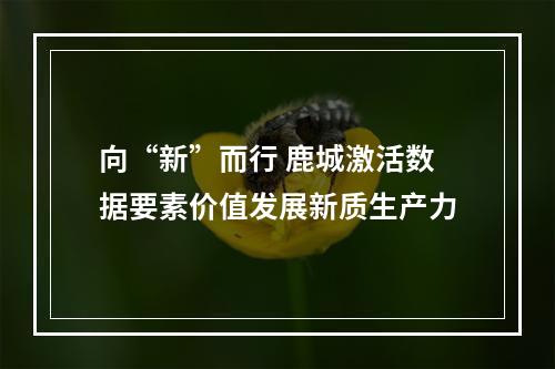 向“新”而行 鹿城激活数据要素价值发展新质生产力