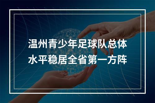 温州青少年足球队总体水平稳居全省第一方阵