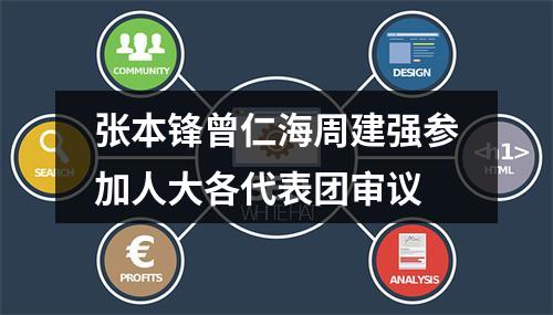 张本锋曾仁海周建强参加人大各代表团审议