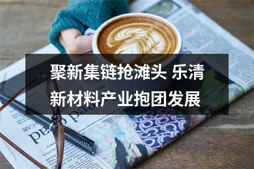 聚新集链抢滩头 乐清新材料产业抱团发展