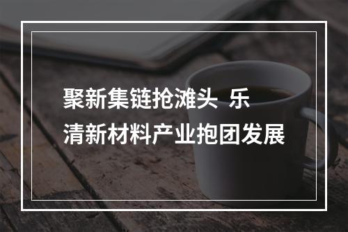 聚新集链抢滩头  乐清新材料产业抱团发展