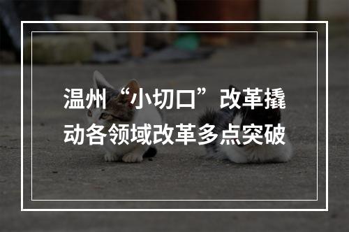 温州“小切口”改革撬动各领域改革多点突破