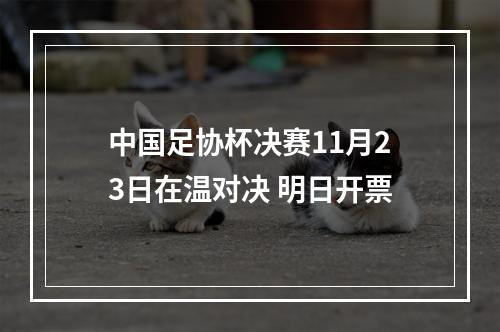 中国足协杯决赛11月23日在温对决 明日开票